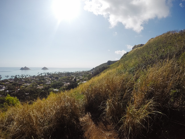 Part of the trail leading to the Lanikai Pillbox 