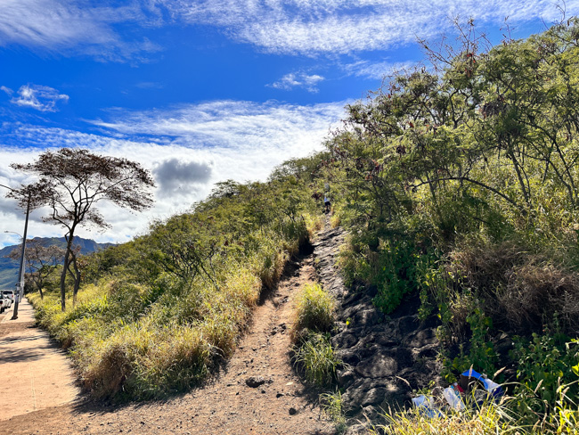 Beginning of the Pu'u O Hulu Hiking Trail 